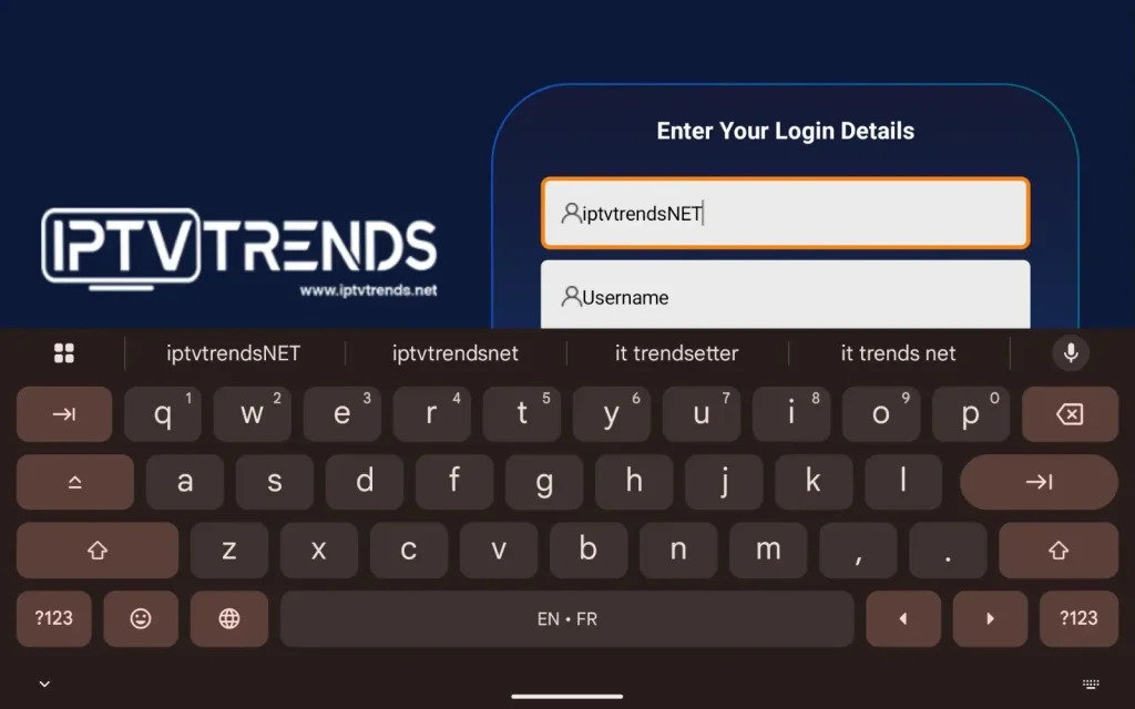 Portal landing screen showing the initial entry fields for a secure iptv setup login app interface